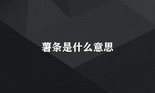 薯条是什么意思