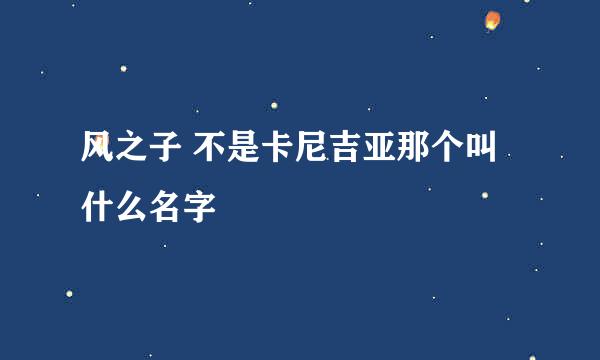 风之子 不是卡尼吉亚那个叫什么名字