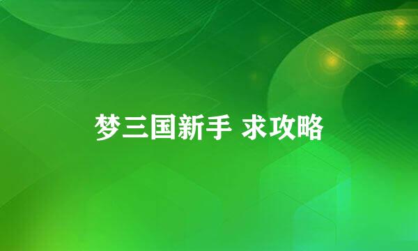 梦三国新手 求攻略