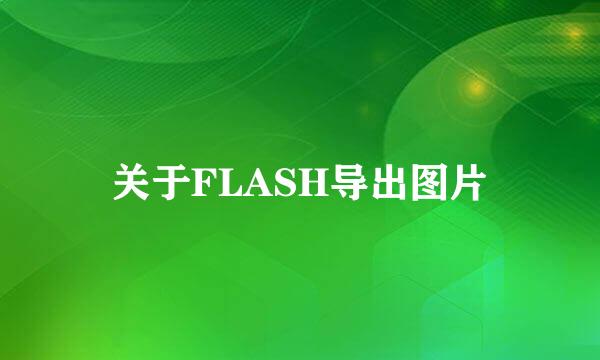 关于FLASH导出图片