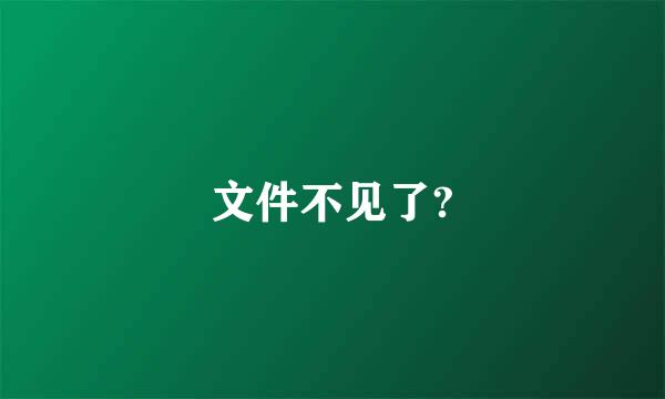 文件不见了?