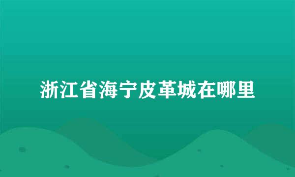 浙江省海宁皮革城在哪里