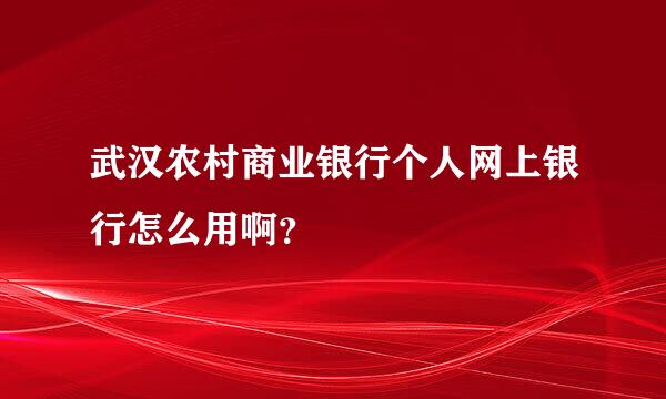 武汉农村商业银行个人网上银行怎么用啊？