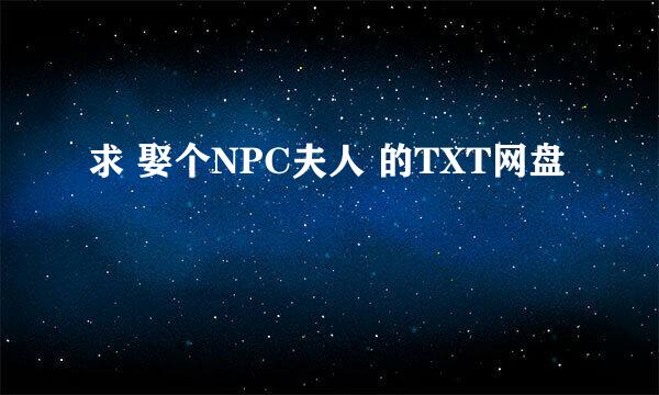 求 娶个NPC夫人 的TXT网盘