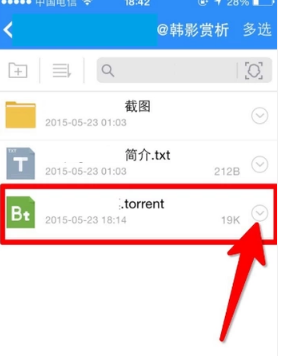 苹果手机下载的BT种子怎么打开？