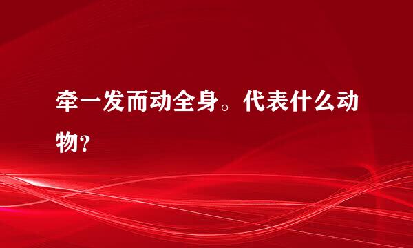 牵一发而动全身。代表什么动物？