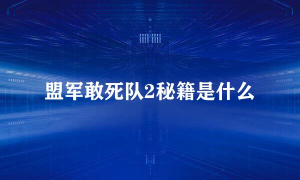 盟军敢死队2秘籍是什么