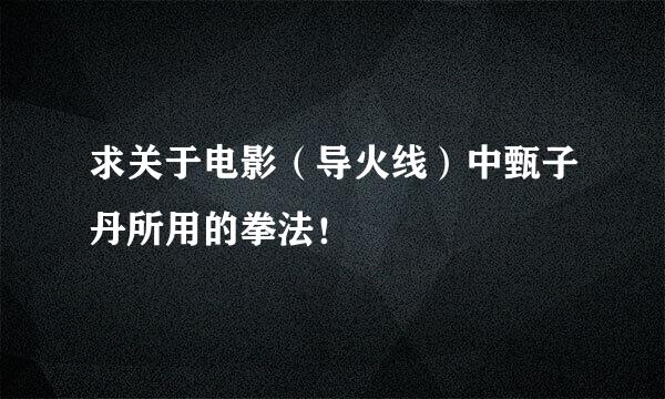 求关于电影（导火线）中甄子丹所用的拳法！