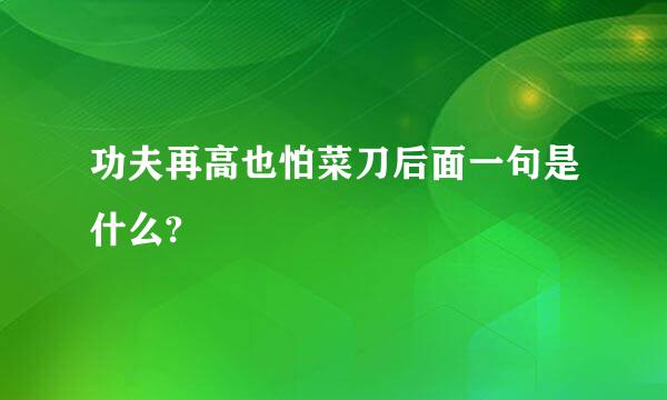 功夫再高也怕菜刀后面一句是什么?