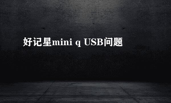 好记星mini q USB问题