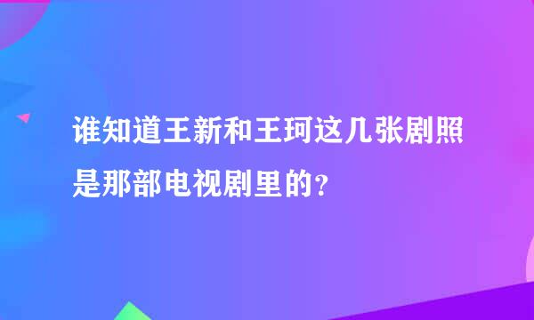 谁知道王新和王珂这几张剧照是那部电视剧里的？