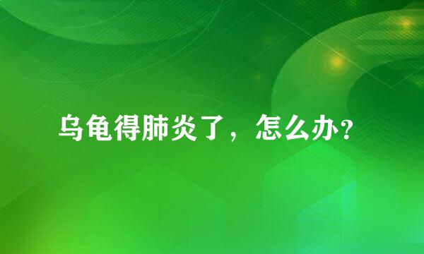 乌龟得肺炎了，怎么办？