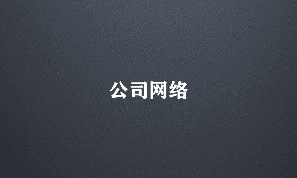 公司网络