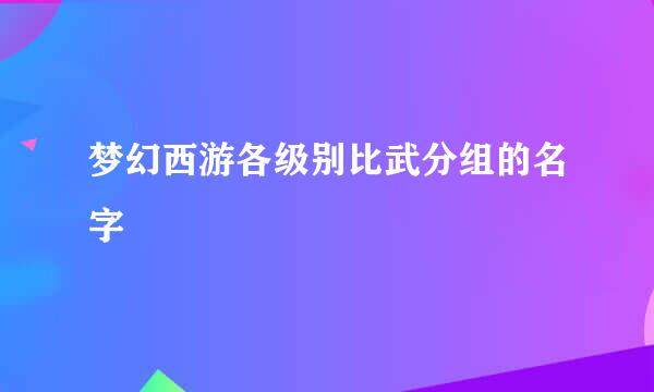 梦幻西游各级别比武分组的名字