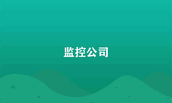 监控公司