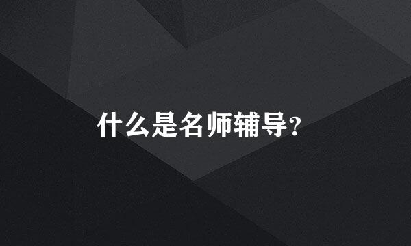 什么是名师辅导？