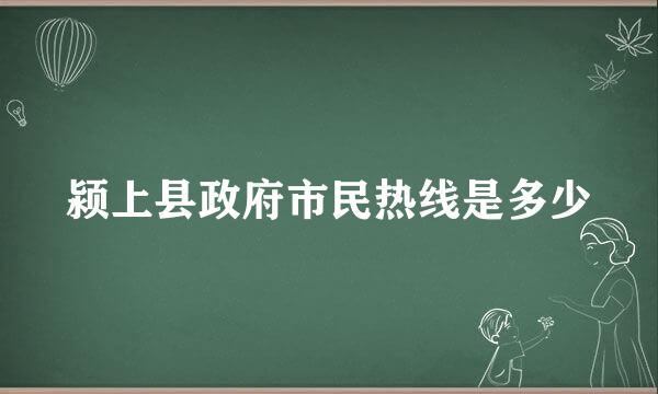 颍上县政府市民热线是多少