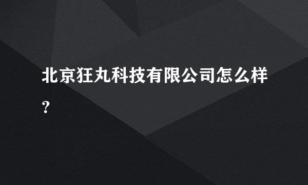 北京狂丸科技有限公司怎么样？