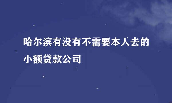 哈尔滨有没有不需要本人去的小额贷款公司