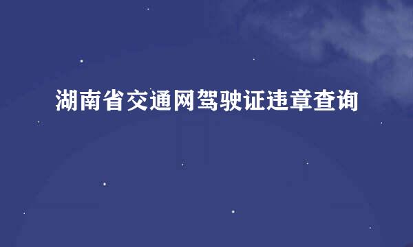 湖南省交通网驾驶证违章查询