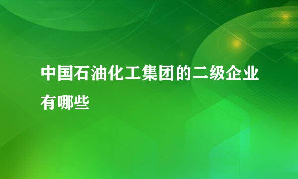 中国石油化工集团的二级企业有哪些