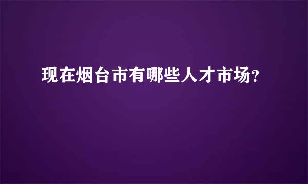 现在烟台市有哪些人才市场？