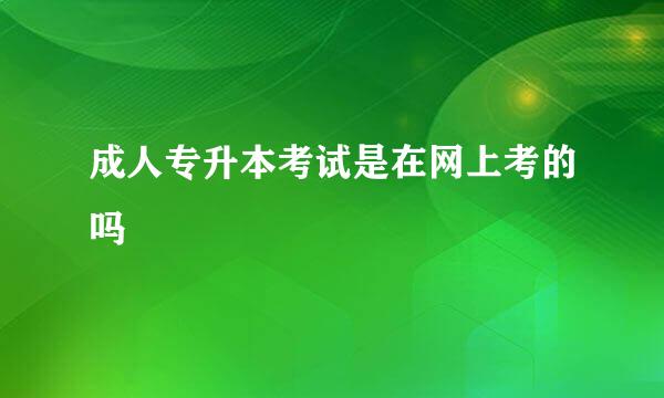 成人专升本考试是在网上考的吗