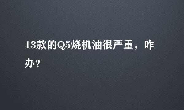 13款的Q5烧机油很严重，咋办？