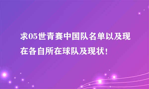 求05世青赛中国队名单以及现在各自所在球队及现状！