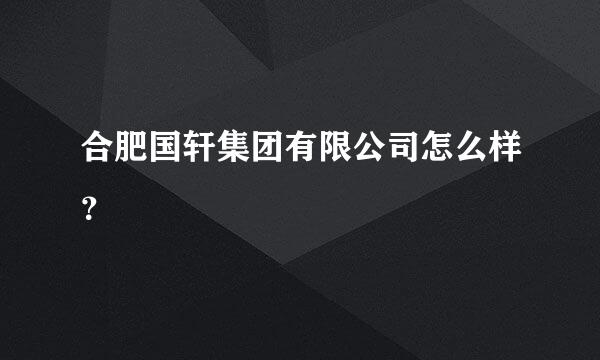 合肥国轩集团有限公司怎么样？