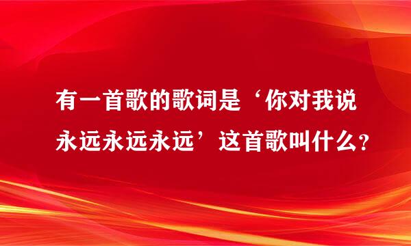 有一首歌的歌词是‘你对我说永远永远永远’这首歌叫什么？