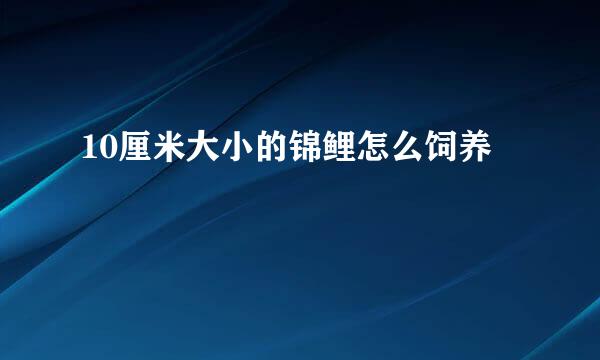 10厘米大小的锦鲤怎么饲养