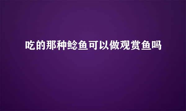 吃的那种鲶鱼可以做观赏鱼吗