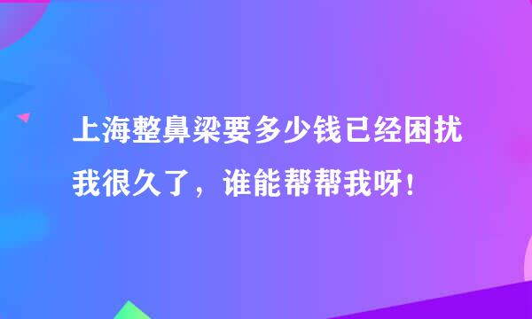 上海整鼻梁要多少钱已经困扰我很久了，谁能帮帮我呀！