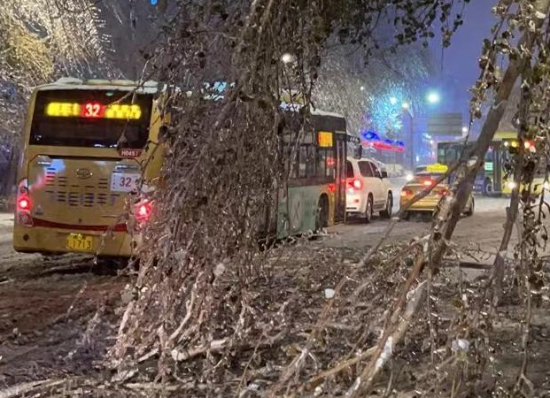 哈尔滨暴雪过后又来冻雨，给当地的交通带来了哪些影响？