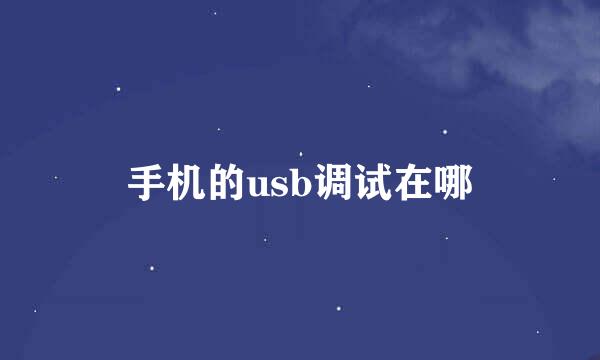 手机的usb调试在哪