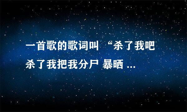 一首歌的歌词叫 “杀了我吧 杀了我把我分尸 暴晒 掩埋在谁也看不见的地方。。。”