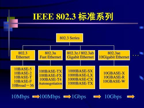 IEEE 802.3、IEEE 802.3u、IEEE 802.3x这些标准的协议各表示什么？