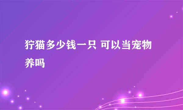 狞猫多少钱一只 可以当宠物养吗