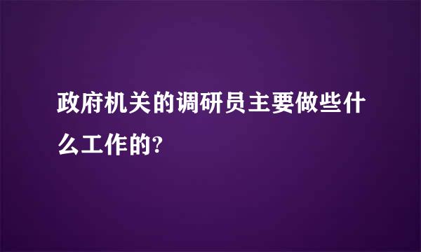 政府机关的调研员主要做些什么工作的?