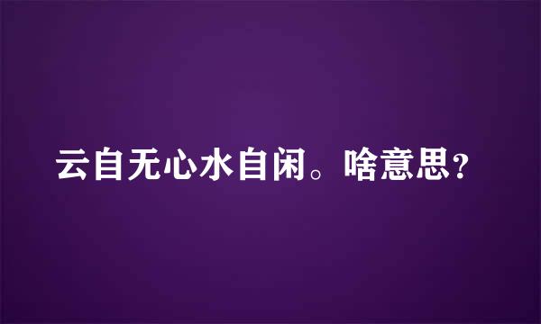 云自无心水自闲。啥意思？