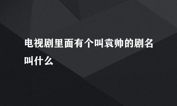 电视剧里面有个叫袁帅的剧名叫什么