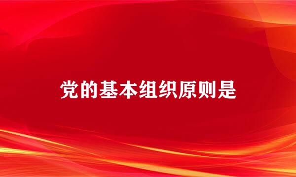 党的基本组织原则是