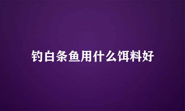 钓白条鱼用什么饵料好