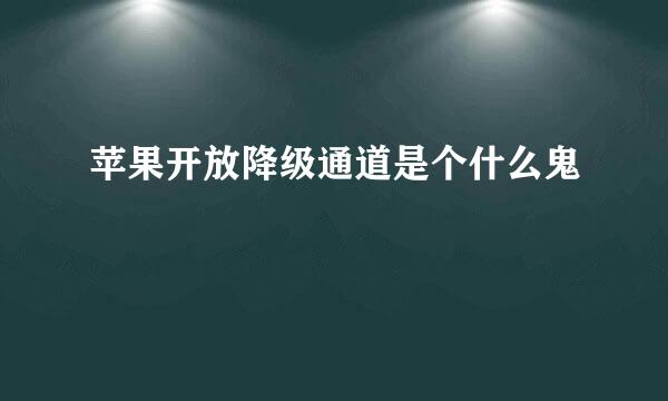 苹果开放降级通道是个什么鬼