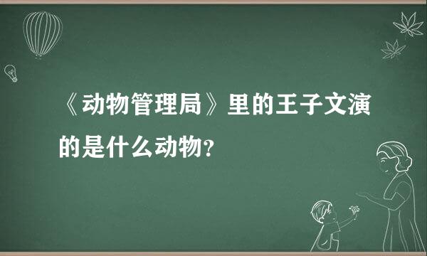 《动物管理局》里的王子文演的是什么动物？