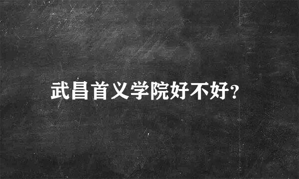 武昌首义学院好不好？