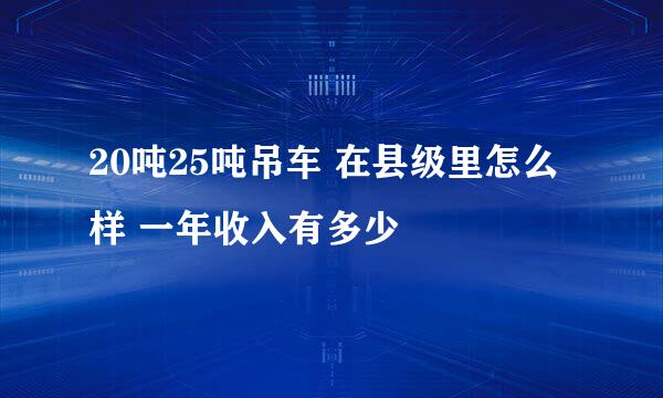 20吨25吨吊车 在县级里怎么样 一年收入有多少