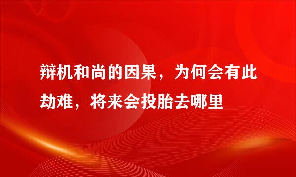 辩机和尚的因果，为何会有此劫难，将来会投胎去哪里