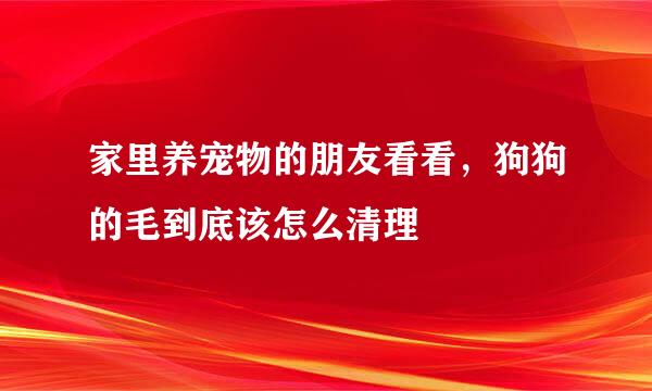 家里养宠物的朋友看看，狗狗的毛到底该怎么清理